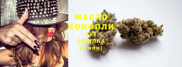дмт Инсар