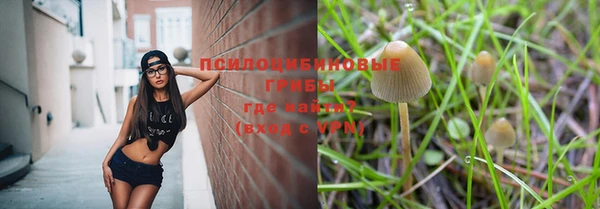 метадон Инта