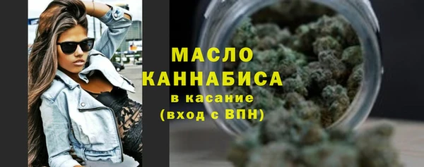 дмт Инсар