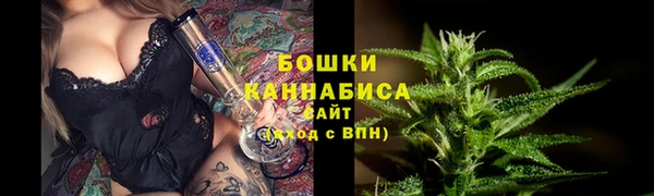 дмт Инсар