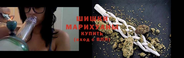 метадон Инта