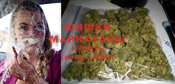 дмт Инсар