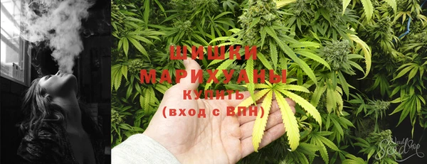 метадон Инта