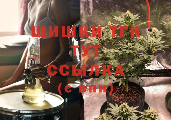 дмт Инсар