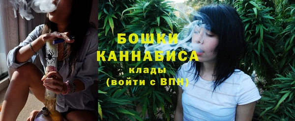 дмт Инсар