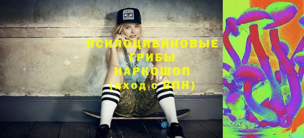 дмт Инсар