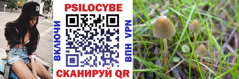 Галлюциногенные грибы Psilocybine cubensis  Купить закладки  Усть-Катав 